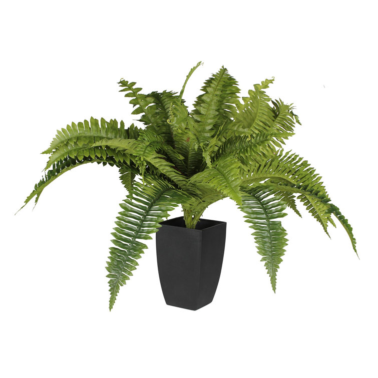 The Seasonal Aisle 55cm Faux Fern Plant Wayfair.co.uk
